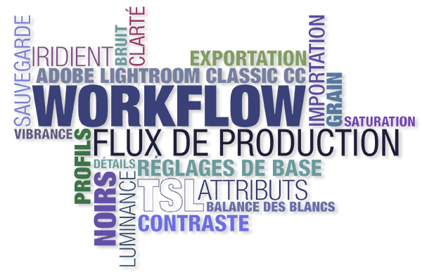 Workflow_03